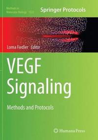 VEGF Signaling