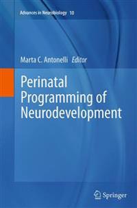 Perinatal Programming of Neurodevelopment