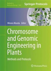 Chromosome and Genomic Engineering in Plants