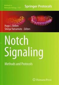 Notch Signaling