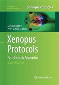 Xenopus Protocols