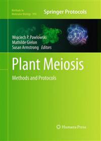 Plant Meiosis