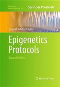 Epigenetics Protocols