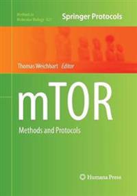 mTOR