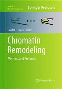 Chromatin Remodeling