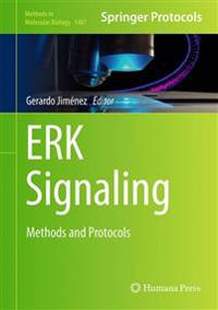ERK Signaling