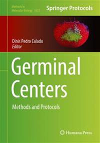 Germinal Centers
