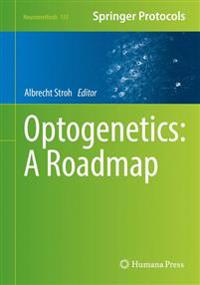 Optogenetics: A Roadmap