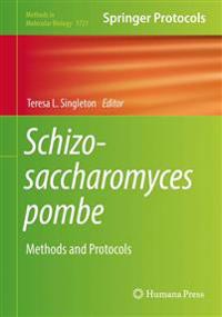Schizosaccharomyces pombe