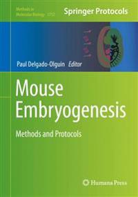 Mouse Embryogenesis