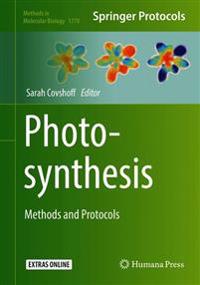 Photosynthesis