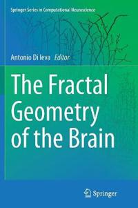The Fractal Geometry of the Brain