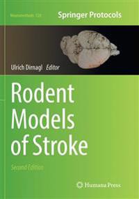Rodent Models of Stroke