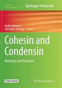 Cohesin and Condensin