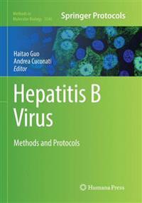 Hepatitis B Virus