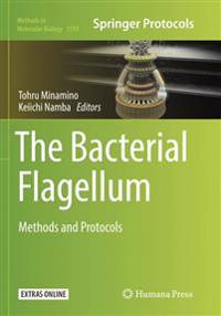 The Bacterial Flagellum