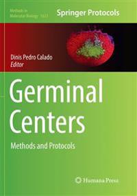 Germinal Centers