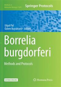 Borrelia burgdorferi