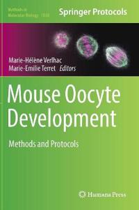 Mouse Oocyte Development