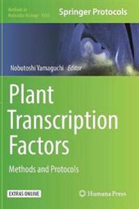 Plant Transcription Factors