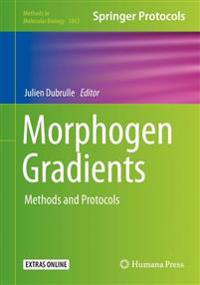 Morphogen Gradients