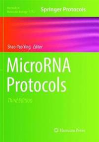 Bokomslag for "MicroRNA Protocols"