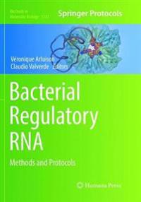 Bacterial Regulatory RNA