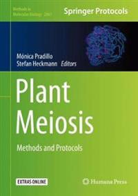 Bokomslag for "Plant Meiosis"
