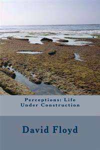 Perceptions: Life Under Construction