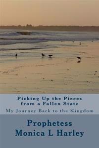 Picking Up the Pieces from A Fallen State: My Journey Back to the Kingdom