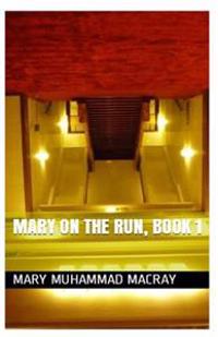 Mary On The Run: Book I