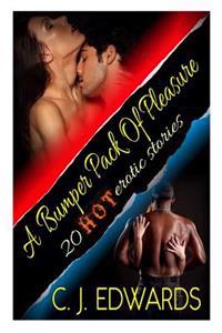 A Bumper Pack of Pleasure: 20 Hot Erotic Stories