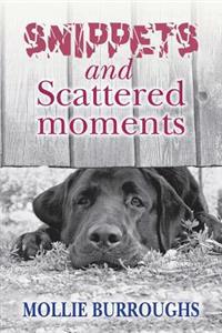 Snippets and Scattered moments