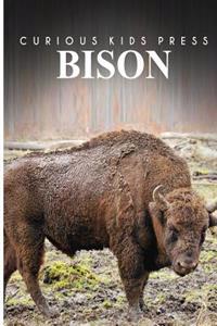 Bison