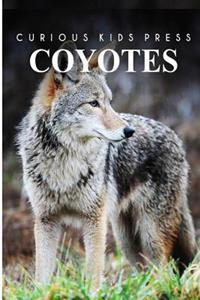 Coyotes