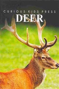 Deer - Curious Kids Press