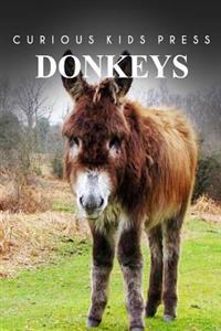 Donkey