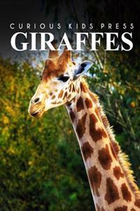 Giraffes