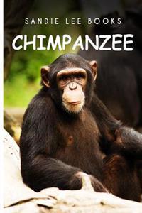 Chimpanzee - Sandie Lee Books