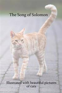 The Song of Solomon: Illustrated with Beautiful Pictures of Cats