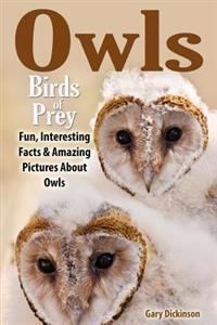 Owls: Birds Of Prey
