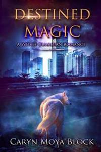 A Witch Guardian Romance