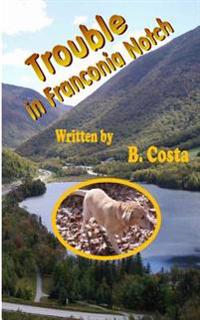 Trouble in Franconia Notch