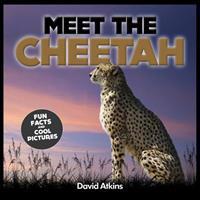 Meet The Cheetah: Fun Facts & Cool Pictures