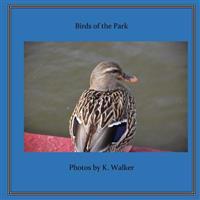 Birds of the Park