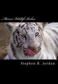 Maine's Wildlife Babies: D.E.W. Animal Kingdom Baby Residents