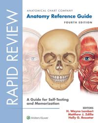 Rapid Review: Anatomy Reference Guide