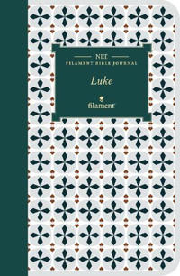 Bokomslag för "NLT Filament Bible Journal"