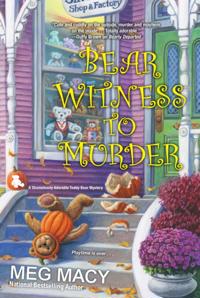 A Teddy Bear Mystery