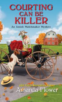 An Amish Matchmaker Mystery